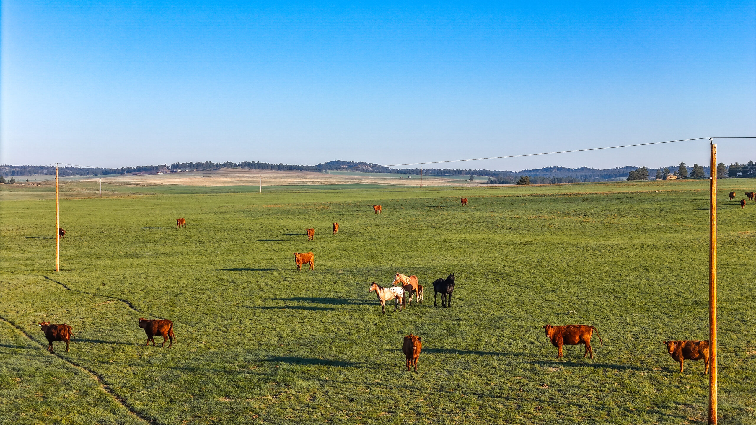 Buffalo Creek Ranch