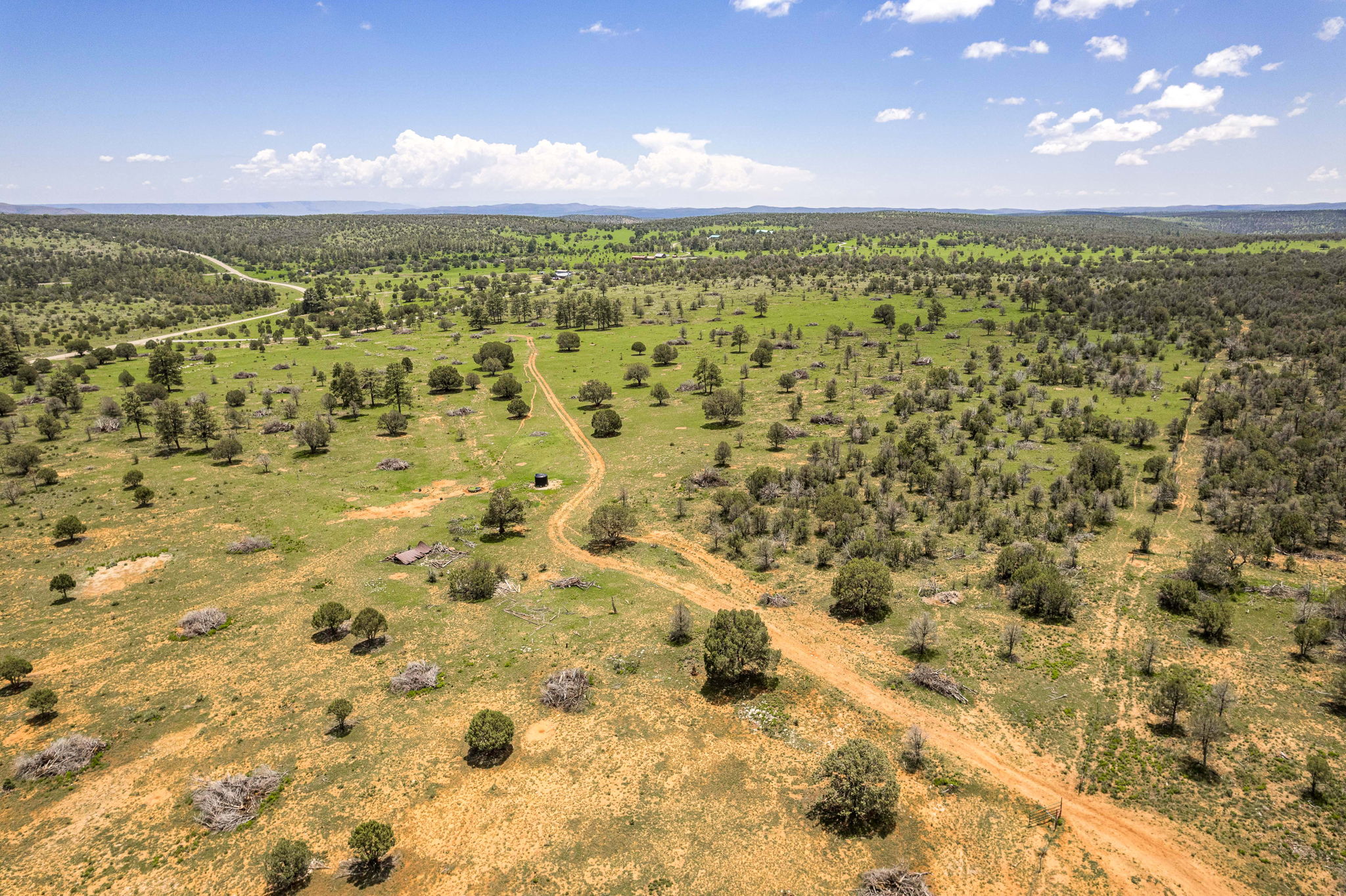 Cattle & Hunting Ranch for Sale in Weed, NM