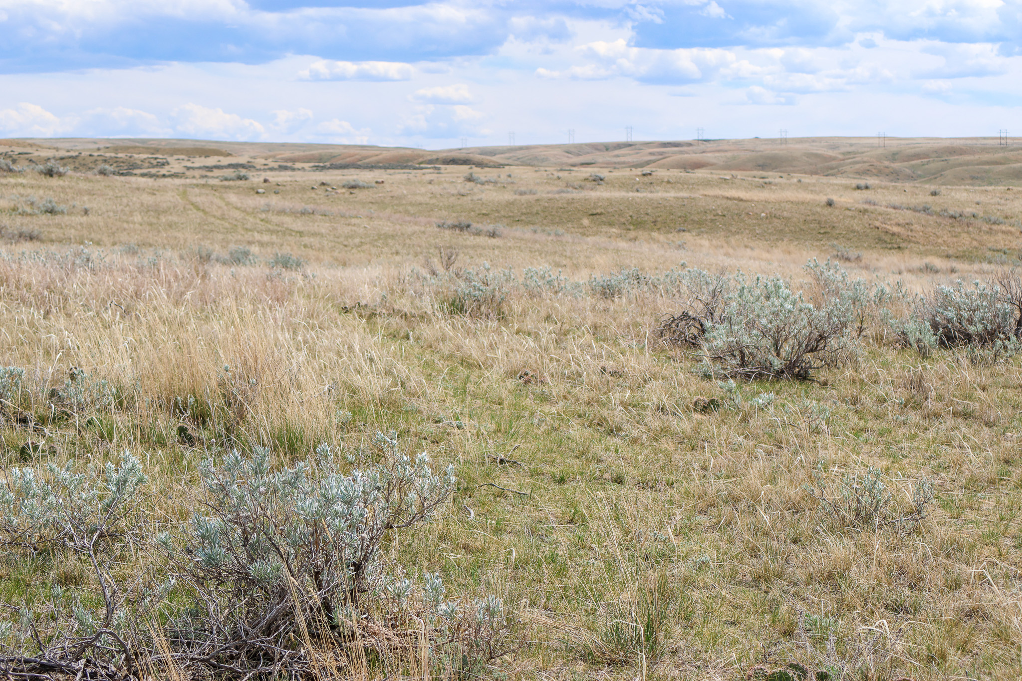East Malta Irrigated Farm & Ranch – The Hould Property