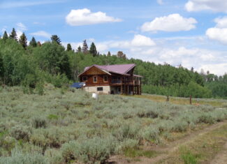 Cabin For Sale on 73 Acres in Colorado in GMU 66