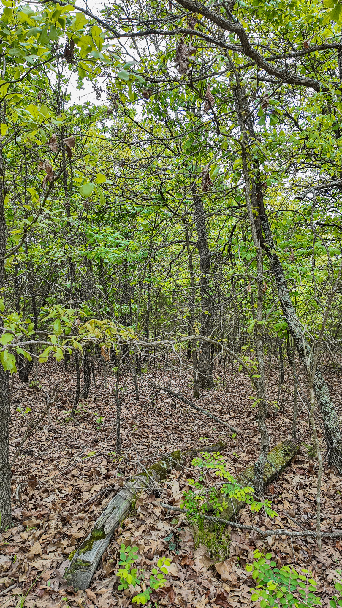 St. Clair County MO Recreational Land