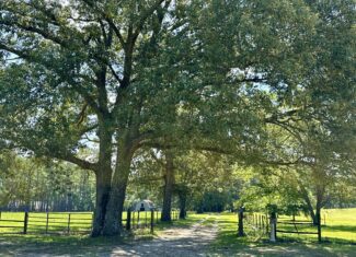 47.7 Acres with Custom Home & Abundant Wildlife