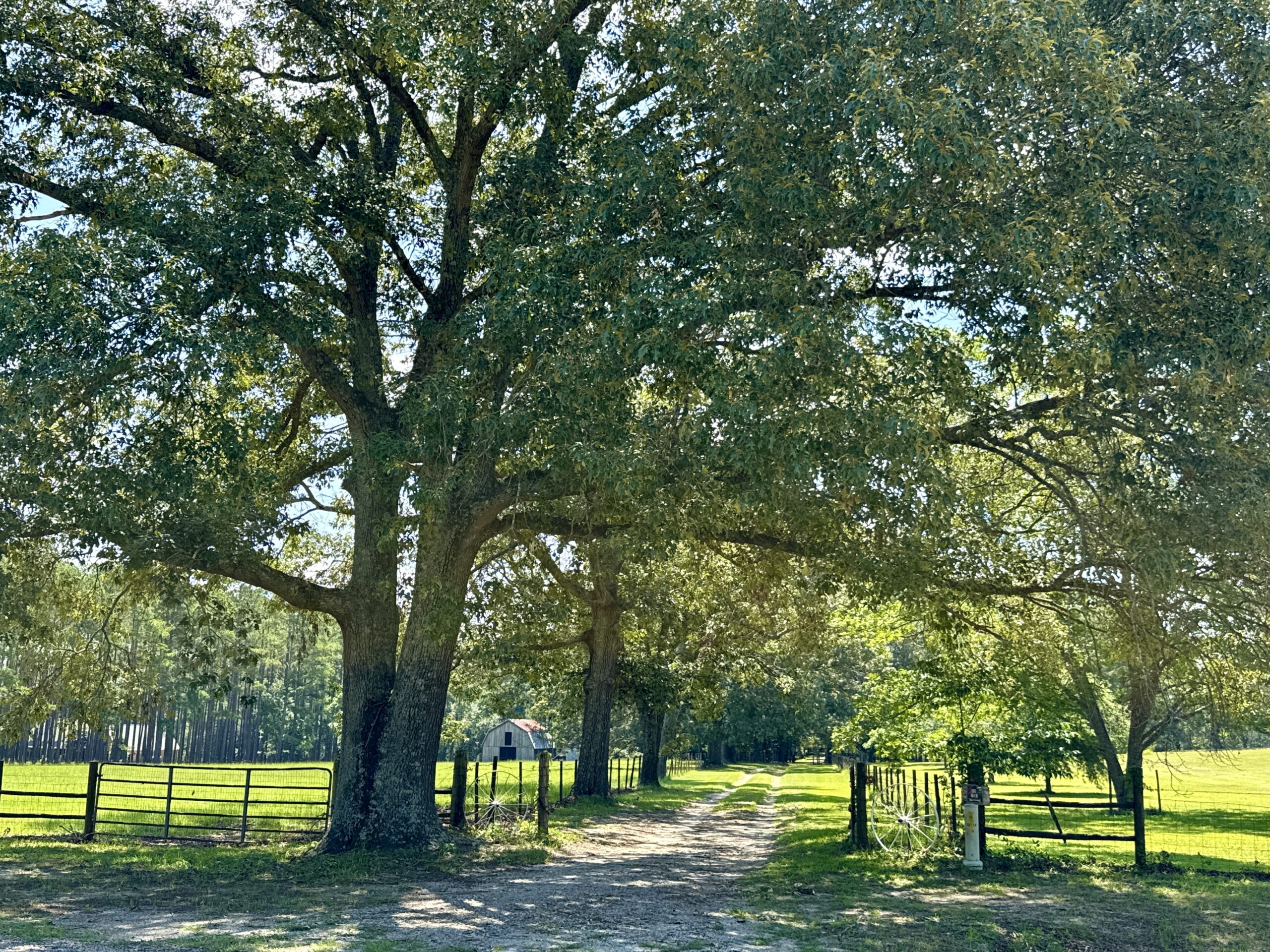 47.7 Acres with Custom Home & Abundant Wildlife