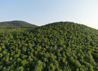 80± Acres of Off-Grid Mountain Land in Mount Chase, Maine