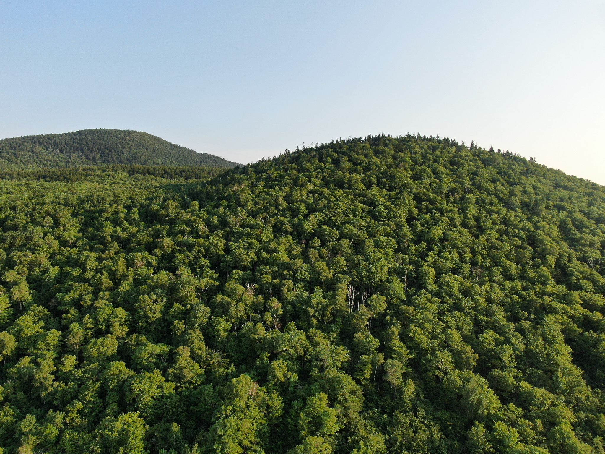 80± Acres of Off-Grid Mountain Land in Mount Chase, Maine