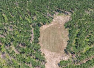 Amite County Hunting Land – The Winding 41