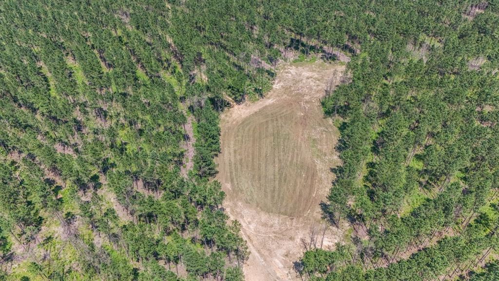 Amite County Hunting Land – The Winding 41