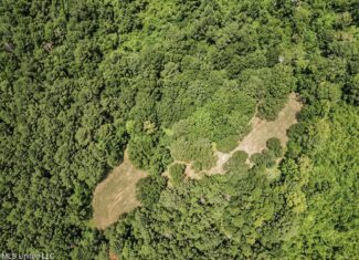 Turn-Key Hunting Land for Sale in Magnolia, Mississippi