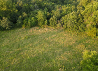 Land For Sale Barton County, MO 160± acres