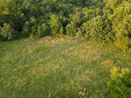 Land For Sale Barton County, MO 160± acres