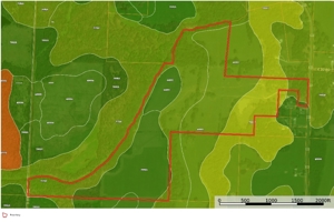 142+\- acres  For Sale El Dorado Springs MO