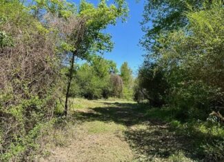 Hunting Land for Sale Near Gloster, Mississippi