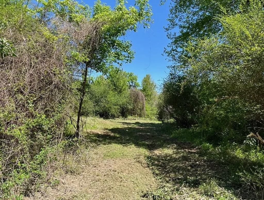 Hunting Land for Sale Near Gloster, Mississippi