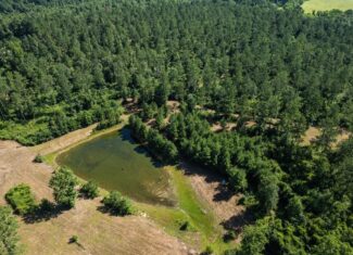 Osyka MS Hunting Land with Pond – Pike 38