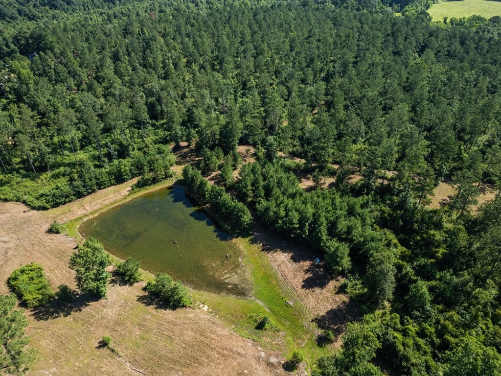 Osyka MS Hunting Land with Pond – Pike 38