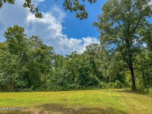 95 Acres of Prime Hunting Property in Hinds County