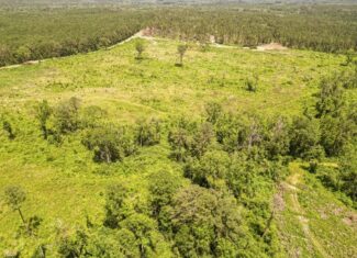 Land for Sale in Amite County, MS