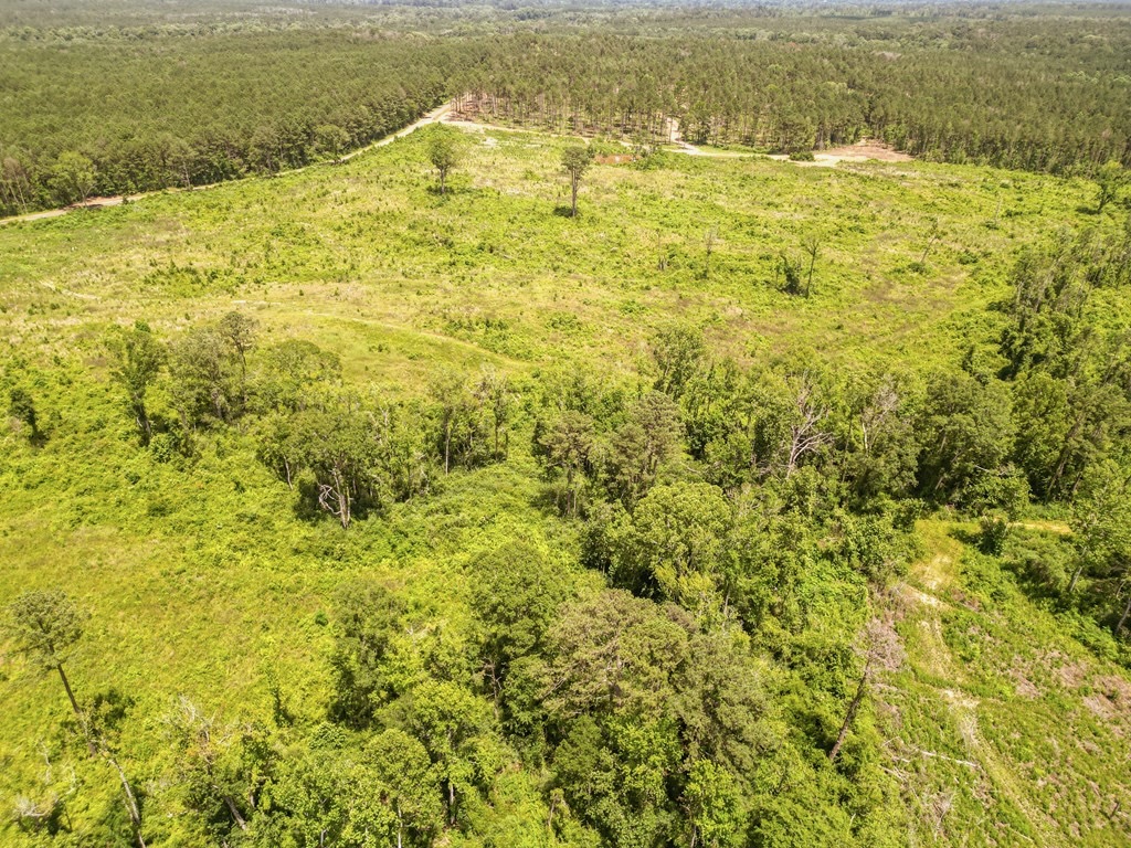 Land for Sale in Amite County, MS