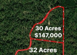 30 Acres of Prime Hunting Property in Hinds County