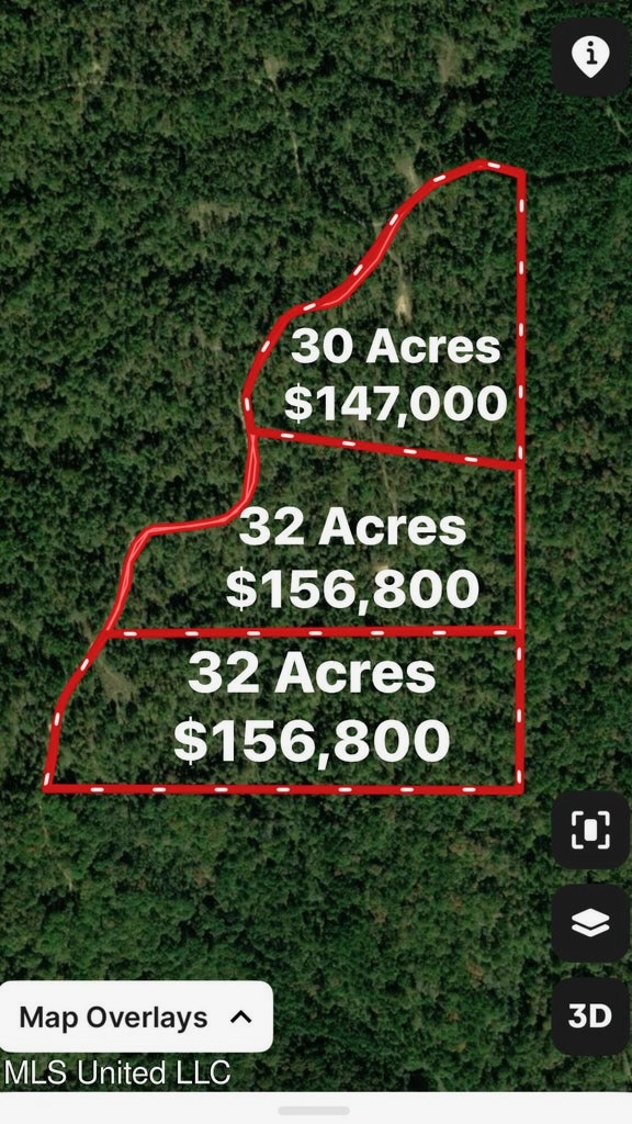 30 Acres of Prime Hunting Property in Hinds County