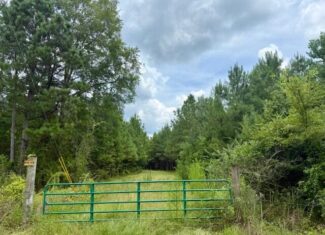 67 Acres For Sale Lawrence County MS