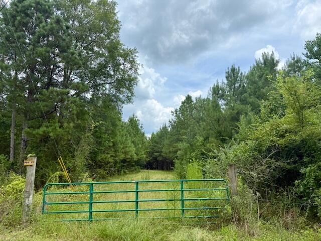 67 Acres For Sale Lawrence County MS