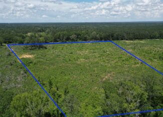 Land for Sale in Amite County, MS
