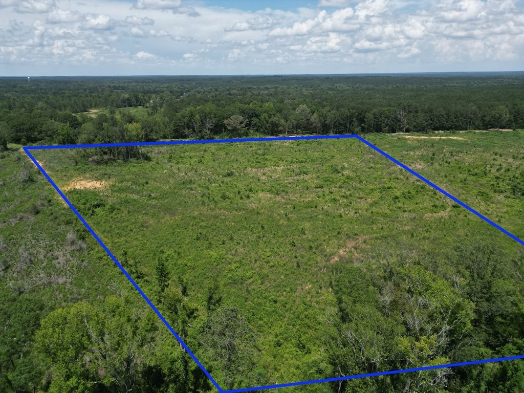 Land for Sale in Amite County, MS