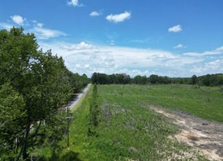 Land for Sale in Amite County, MS