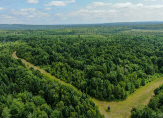 Maine Hunting and Recreational Timberland for Sale | 152± Acres in Carroll Plantation