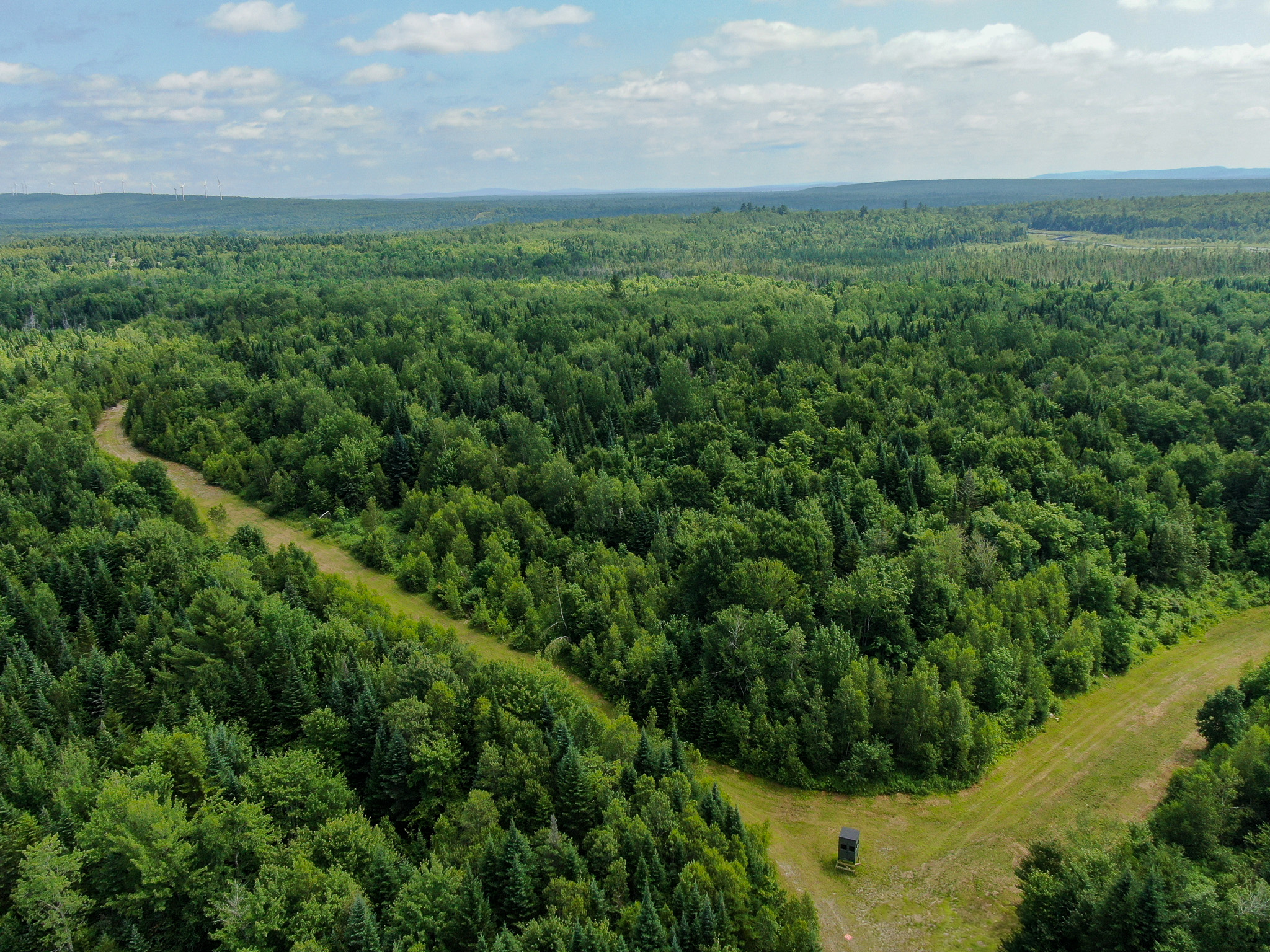 Maine Hunting and Recreational Timberland for Sale | 152± Acres in Carroll Plantation