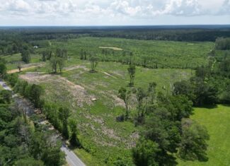 Land for Sale in Amite County, MS