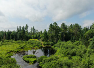 Remote Maine Hunting Camp with Stream Frontage