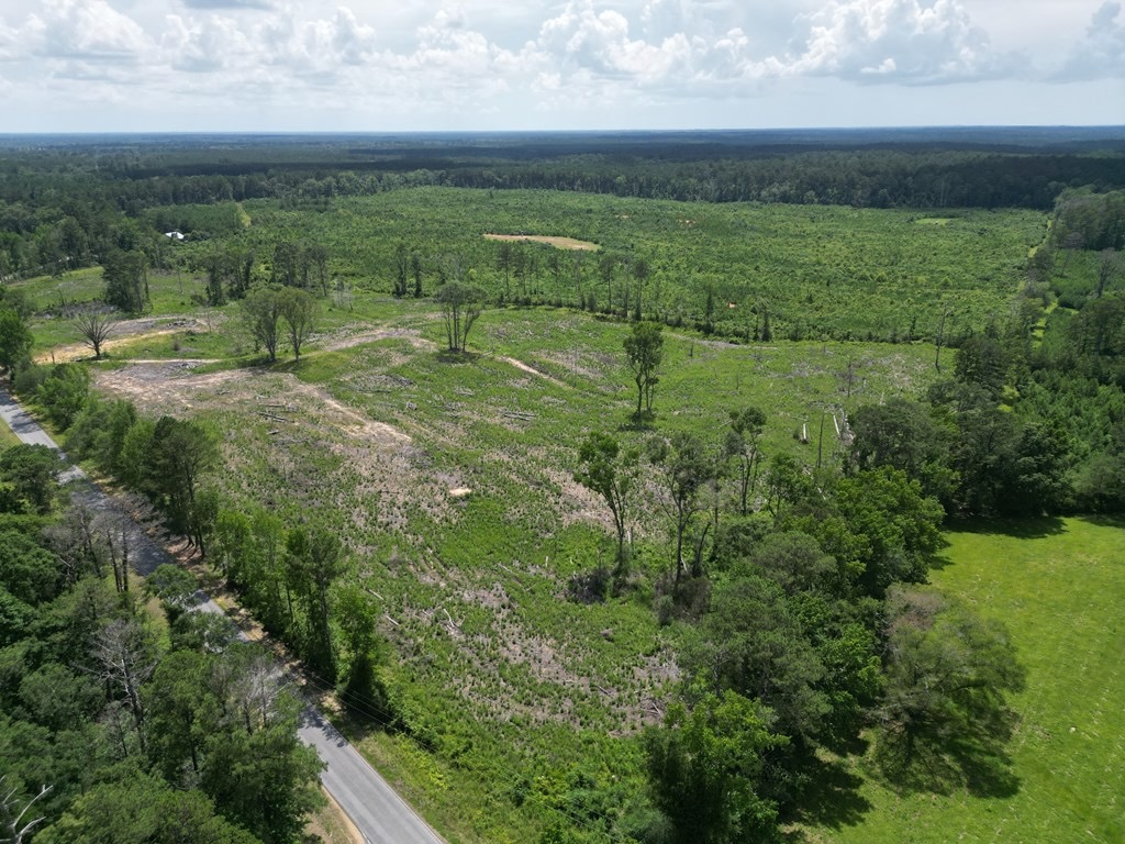 Land for Sale in Amite County, MS