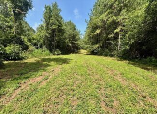 Land for Sale in St. Helena Parish, Louisiana