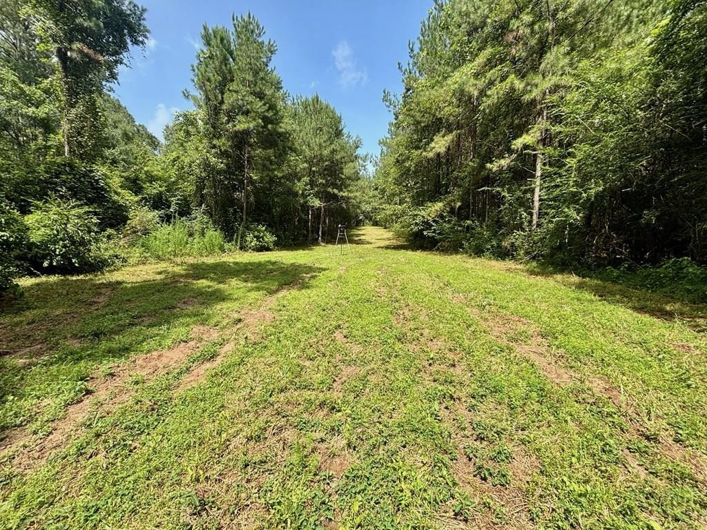 Land for Sale in St. Helena Parish, Louisiana