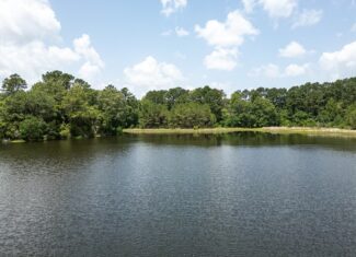 Clear Lake Land in East Feliciana Parish, Louisiana