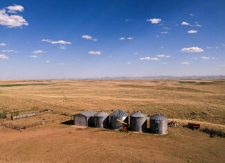 Golden Triangle Farm & Ranch in Hill County, Montana