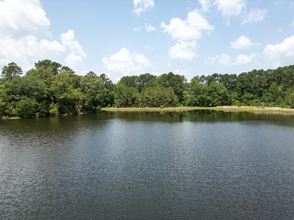 Clear Lake Land in East Feliciana Parish, Louisiana
