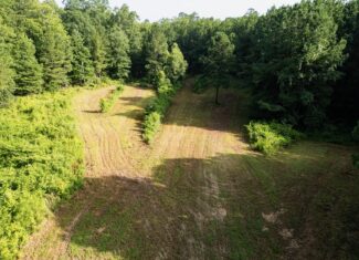Hunting Land in Woodville, MS – 125 Acres for Sale