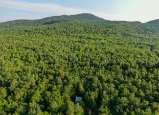 Off-Grid Cabin with 150± Acres Bordering Mount Chase