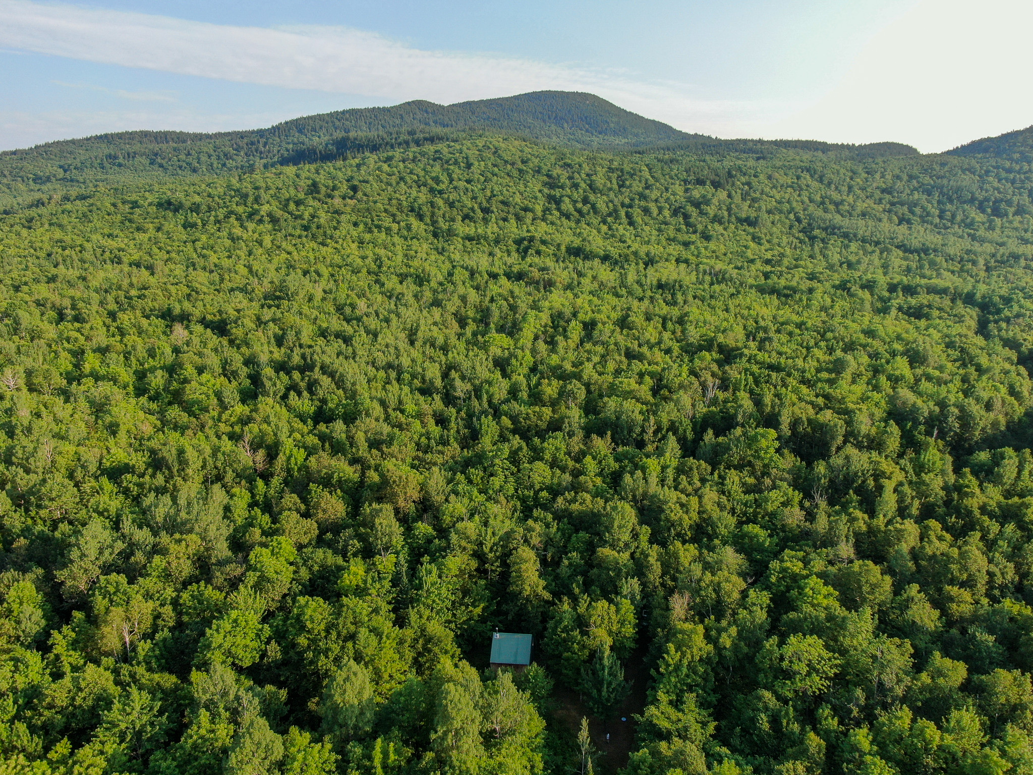 Off-Grid Cabin with 150± Acres Bordering Mount Chase