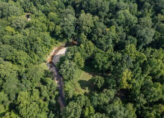 Hunting Land in Claiborne County, MS – The Reagan Tract