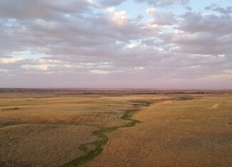 Norman Mavencamp Ranch