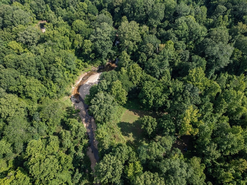 Hunting Land in Claiborne County, MS – The Reagan Tract