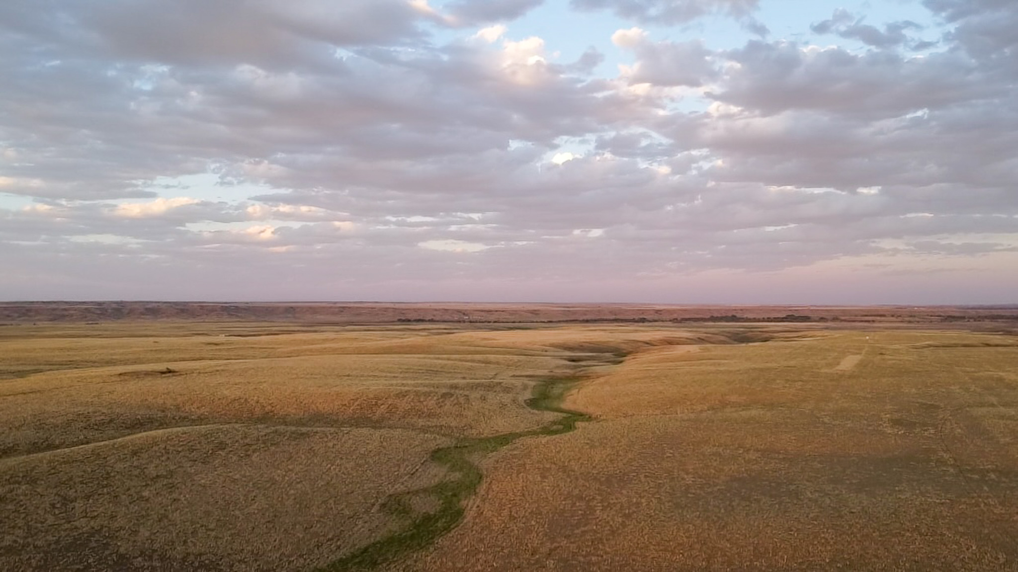 Norman Mavencamp Ranch