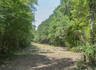 Lapine 216 Multi Use Recreational Timber – Ouachita Parish