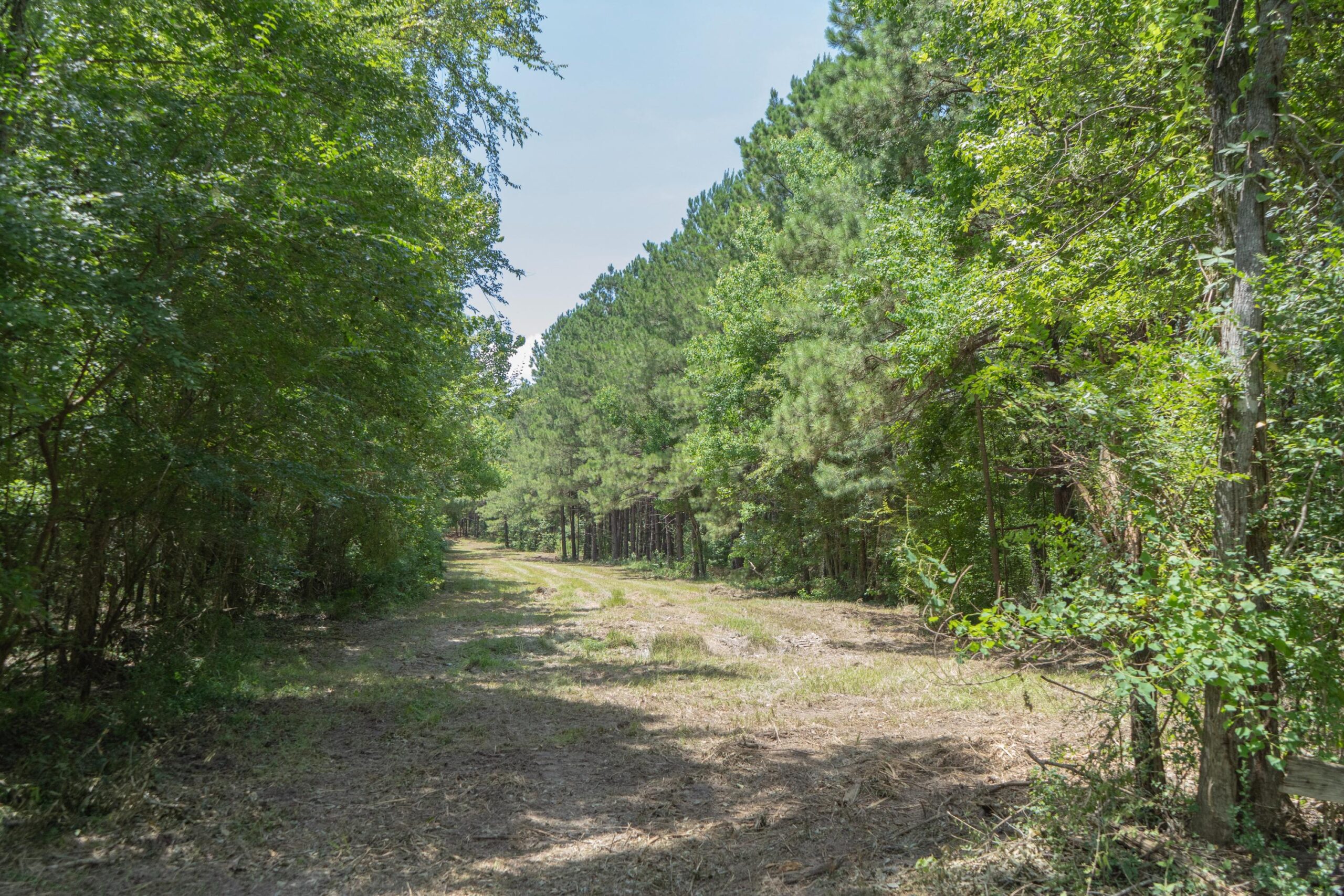 Lapine 216 Multi Use Recreational Timber – Ouachita Parish