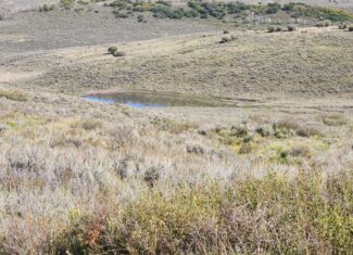 Colorado Hunting and Recreation Land