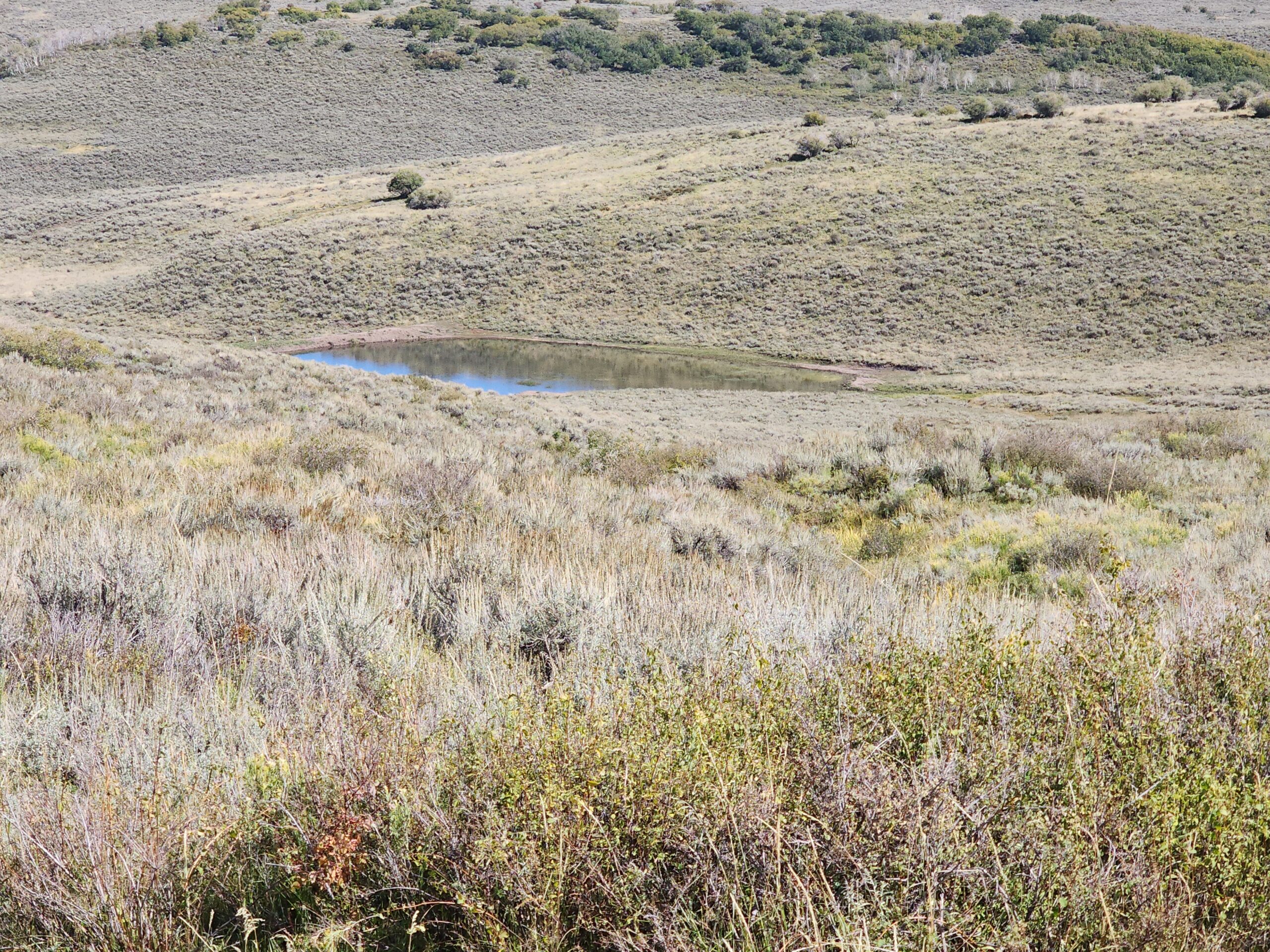 Colorado Hunting and Recreation Land